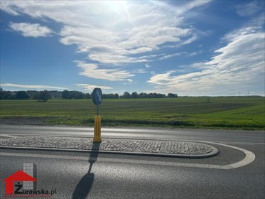 działka na sprzedaż 4070m2 działka Strzelce Opolskie