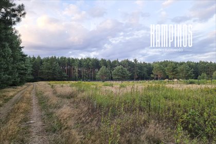 działka na sprzedaż 3293m2 działka Szymanówek