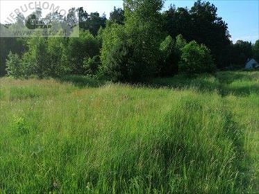 Działka budowlana na sprzedaż Lubomin 1 150m2 Foto 2