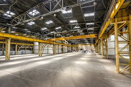 Hala 1159m² z biurem i socjalem, wysoka jakość! magazyn Warszawa, Bielany