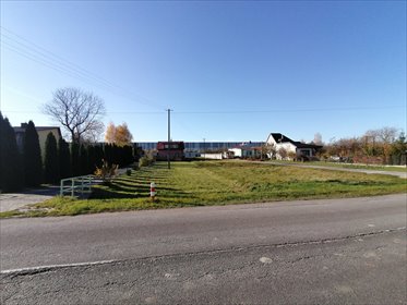 Działka usługowo-mieszkaniowa z domem i zabudową 250 m2 działka Natolin