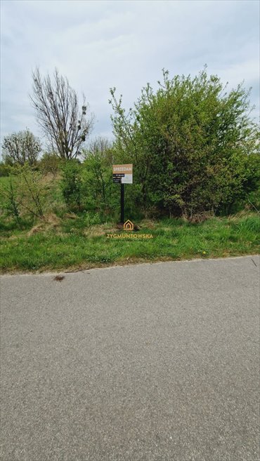 działka na sprzedaż 4742m2 działka Żarnów, Żarnów, Żarnów