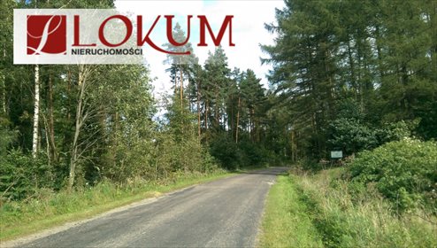 Działka budowlana na sprzedaż Sucha Huta 3 004m2 Foto 3
