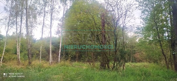 działka na sprzedaż 1200m2 działka Adamowizna