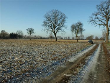 Działka budowlana na sprzedaż Liszkowice 8 000m2 Foto 5