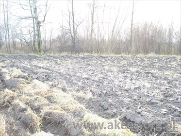działka na sprzedaż 49800m2 działka Grodzisk Mazowiecki, Grodzisk Mazowiecki