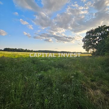 działka na sprzedaż 1200m2 działka Środa Śląska, Szczepanów