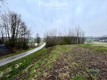 działka na sprzedaż 2960m2 działka Bęczyn, Ogrodowa