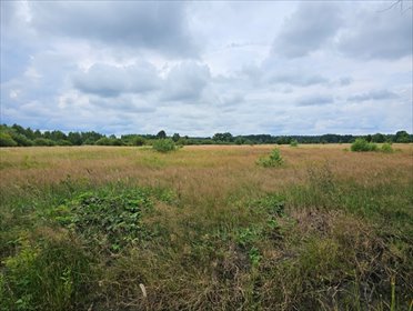 działka na sprzedaż 2500m2 działka Gać