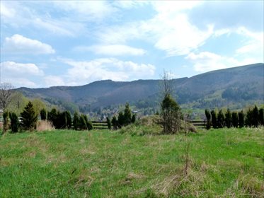 Działka inwestycyjna na sprzedaż Kozubnik 5 800m2 Foto 1