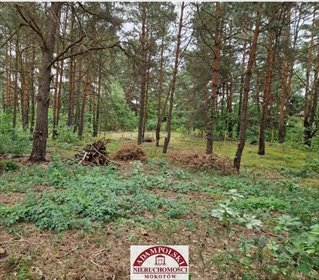 Zapraszam do działki 1194 m² w Wesołej, z warunkami zabudowy działka Warszawa, Wesoła, Zielona