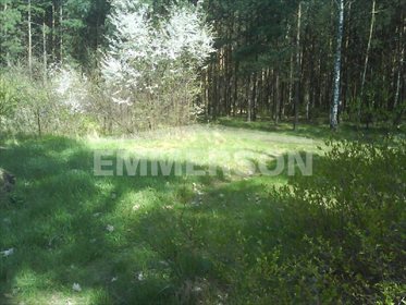 Działka budowlana na sprzedaż Józefów, Michalin 1 874m2 Foto 1