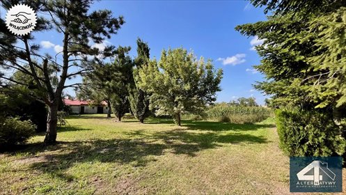 działka na sprzedaż 11300m2 działka Sobota