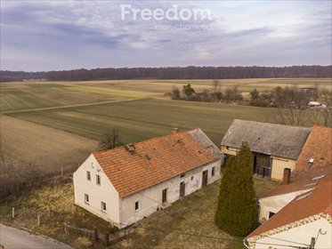działka na sprzedaż 1337m2 działka Grabina