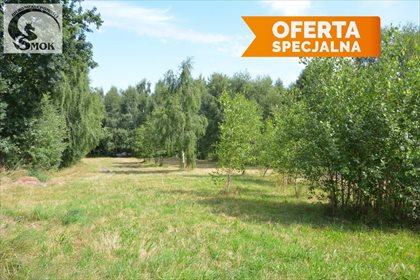 działka na sprzedaż 2600m2 działka Wysoka