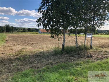 Działka rolna na sprzedaż Kowalówka 2 800m2 Foto 4