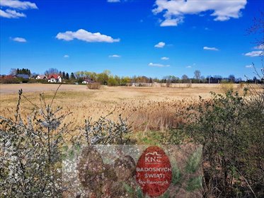 działka na sprzedaż 5000m2 działka Miłocin