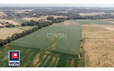 działka na sprzedaż 1000m2 działka Zawonia, Tarnowiec