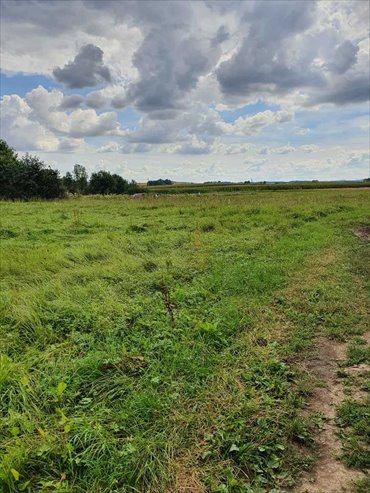 działka na sprzedaż 920m2 działka Dzierżoniów