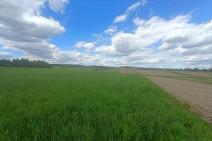 Działka rolna 5400 m² w Cholerzynie - polecam działka Cholerzyn