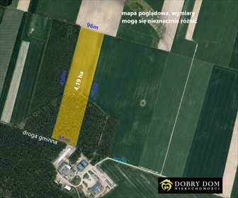 Działka 4,19 ha z lasem i ziemią rolną - inwestycja. działka Ciechanowiec