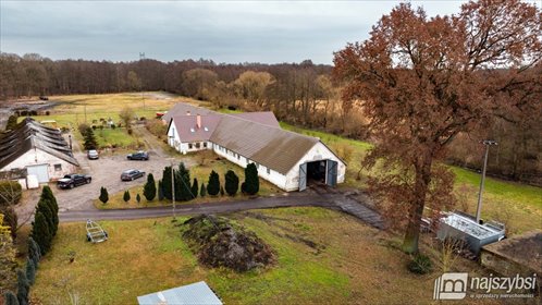 lokal użytkowy na wynajem 310m2 lokal użytkowy Stepnica, Radosna