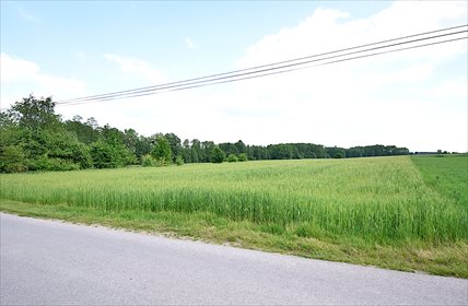 Działka 2600 m² z warunkami zabudowy i mediami działka Policzna