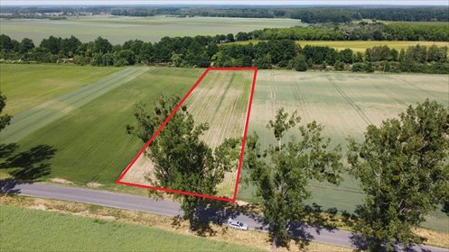 działka na sprzedaż 6500m2 działka Zwanowice