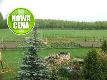 działka na sprzedaż 22500m2 działka Pokój