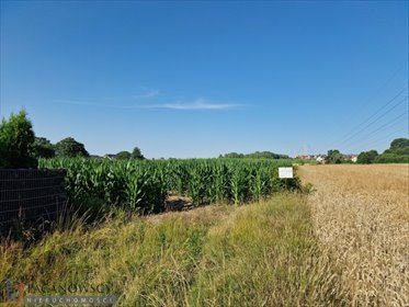 Działka 1,06 ha z częścią budowlaną, media, spokojna okolica działka Bibice