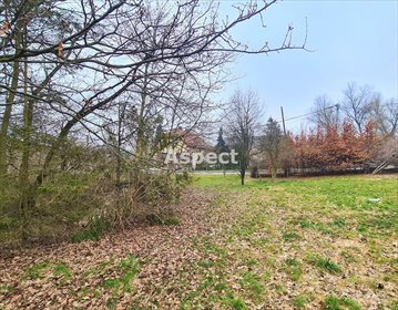 działka na sprzedaż 3268m2 działka Rogów