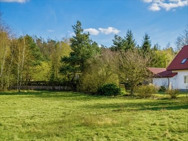 Działka | MPZP | Mieścicka | 1055 m2 | las działka Mieściska