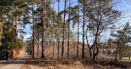 Działka 1790 m² w leśnej okolicy z mediami - polecam działka Wolica