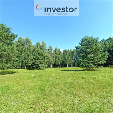 Działka inna na sprzedaż Chotyłów 9 549m2 Foto 3