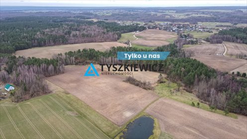 działka na sprzedaż 10104m2 działka Dąbrówka, Brzozowa