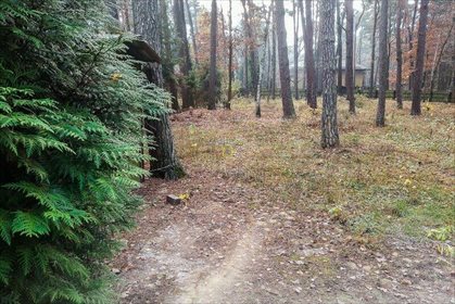 działka na sprzedaż 1800m2 działka Magdalenka