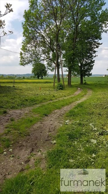 Dom na sprzedaż Elizówka 100m2 Foto 6