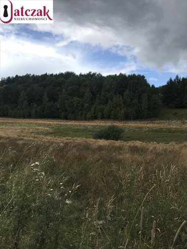 działka na sprzedaż 15800m2 działka Gromadzin, Gromadzin, Gromadzin, Kasztanowa