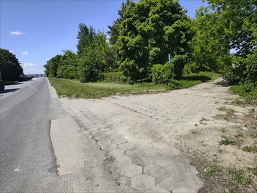 działka na sprzedaż 3100m2 działka Płońsk