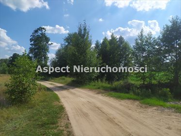 Działka inna na sprzedaż Nowy Lubiel 4 484m2 Foto 2