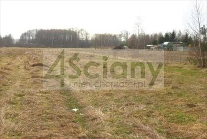 działka na sprzedaż 14200m2 działka Skuły