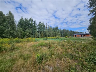 działka na sprzedaż 1500m2 działka Czarny Las