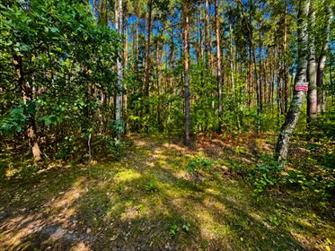 działka na sprzedaż 15700m2 działka Słubica Dobra