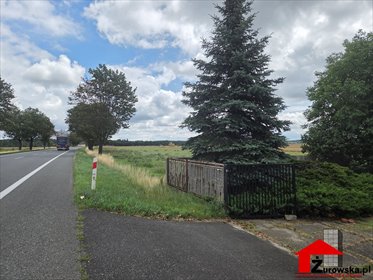 Dom z potencjałem 274 m² na dużej działce - polecam! dom Sucha