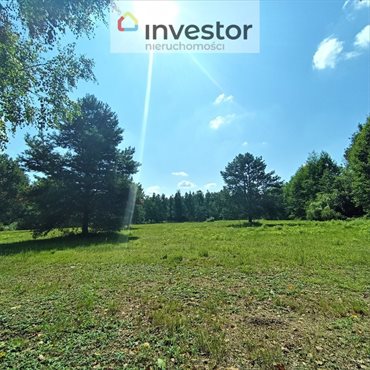 Działka inna na sprzedaż Chotyłów 9 549m2 Foto 2