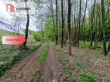 Malownicze działki w Tomkowie z lasem i dostępem do rzeki działka Tomkowo