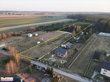 Działka 9000 m² z domem i lasem w Dębowa Góra polecam działka Dębowa Góra-Kolonia