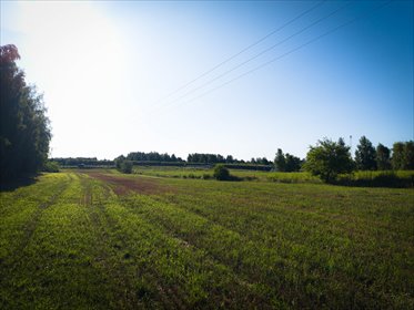 działka na sprzedaż 7256m2 działka Natolin