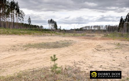 Zapraszam do zakupu działek 3200 m² blisko Zalewu Siemianówka działka Siemianówka