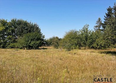 działka na sprzedaż 2166m2 działka Duszniki